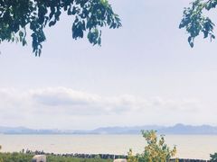 -深圳湾公园(南山区)