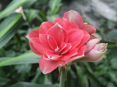 -国家植物园