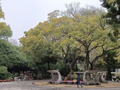 -菊花台公园