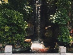 -三亚南山文化旅游区