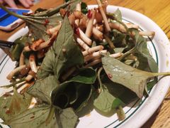 -云海肴·汽锅鸡·云南代表菜(东坝金隅店)