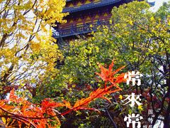 -常熟方塔园