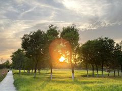 -汉长安城未央宫国家考古遗址公园