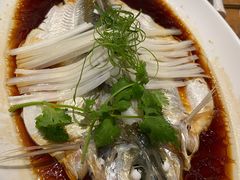 钱湖四宝-朋鱼-宁波柏悦酒店·钱湖渔港
