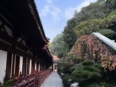 -西安华清御汤酒店