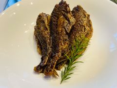 -沪碟·精菜坊(闵行店)