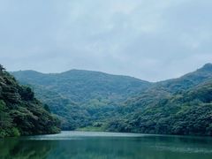 -黄埔油麻山森林公园