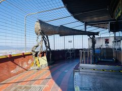 -中央广播电视塔