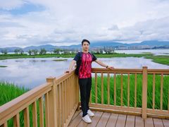 -洱海月湿地公园