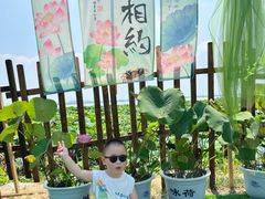 -七的湖·晚芳亭·阳澄湖农家菜·大闸蟹(莲花岛店)
