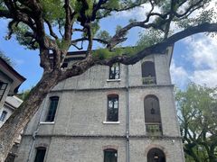 -江心屿景区