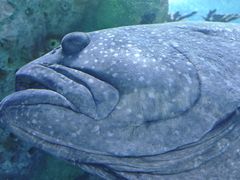 -珠海长隆海洋王国