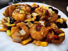 -林之六八·6886大连老菜馆