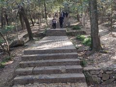 -紫金山山顶公园