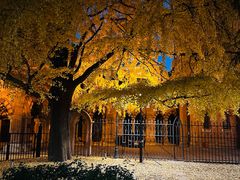 -LESCEDARS Brasserie Bistro香柏树