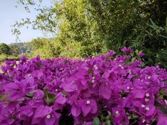 -中国移动南方基地