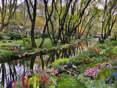 -上海共青森林公园