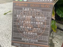 -西双版纳原始森林公园