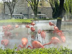 -石家庄市动物园