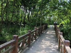 -桤木河湿地公园