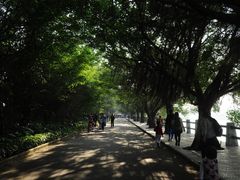 -大湾区中央湿地公园