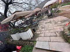 -桃源山庄·水蜜桃采摘·柴火鸡·烧烤团建(龙泉山店)