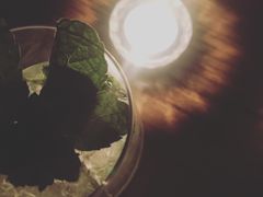 -TZ House音乐现场(茅台店)