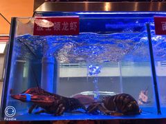 -小龍鳳·港式海鲜打边炉(沙湖路店)