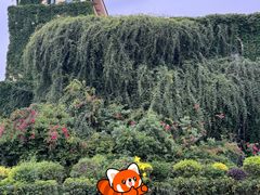 -府河摄影公园