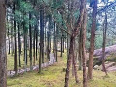 -玉苍山国家森林公园