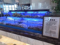 -索菲特酒店 · 云尚天际自助餐厅