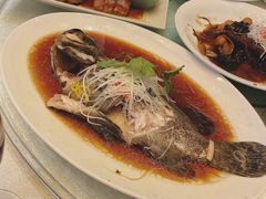 -天津君隆威斯汀酒店