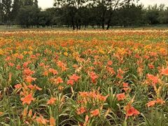 -汉长安城未央宫国家考古遗址公园