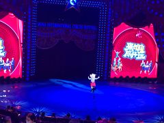 -珠海横琴长隆《卡卡虎奇遇记》