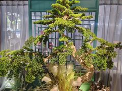 -渝乡辣婆婆·川菜 水煮鱼(中山西路店)