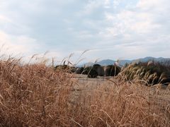-良渚古城遗址公园