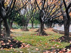 -苏州河梦清园环保主题公园