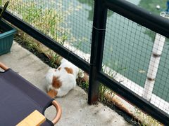 -nodcafe(M50创意园店)