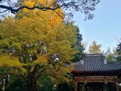 -汇龙潭