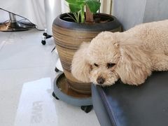 -北京清河万象汇
