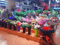 -大自然花鸟鱼虫市场