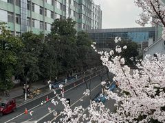 -杭州市第一人民医院(湖滨院区)