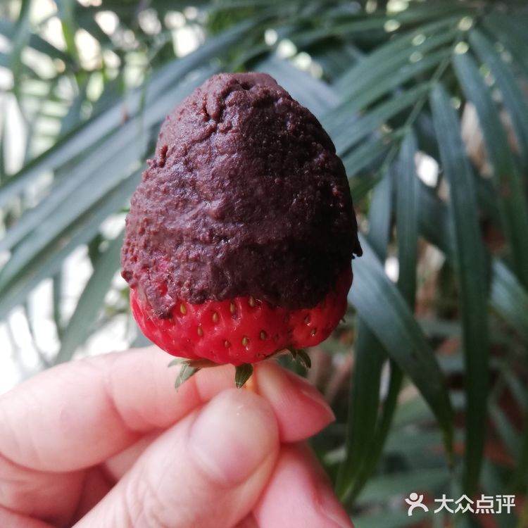 哈哈，我也学会了制作草莓酱