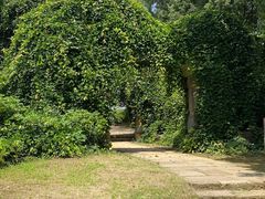 -杏花村文化旅游区