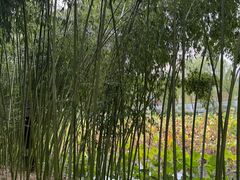 -包公祠