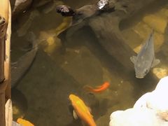 -馬蘭花開(车站大道店)
