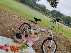 -福建鲤鱼洲酒店