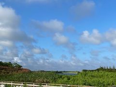 -春花秋色城市公园