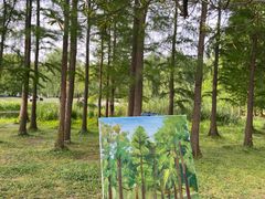 -上海共青森林公园