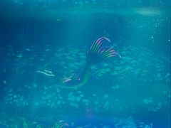 -常州海昌海洋探索馆